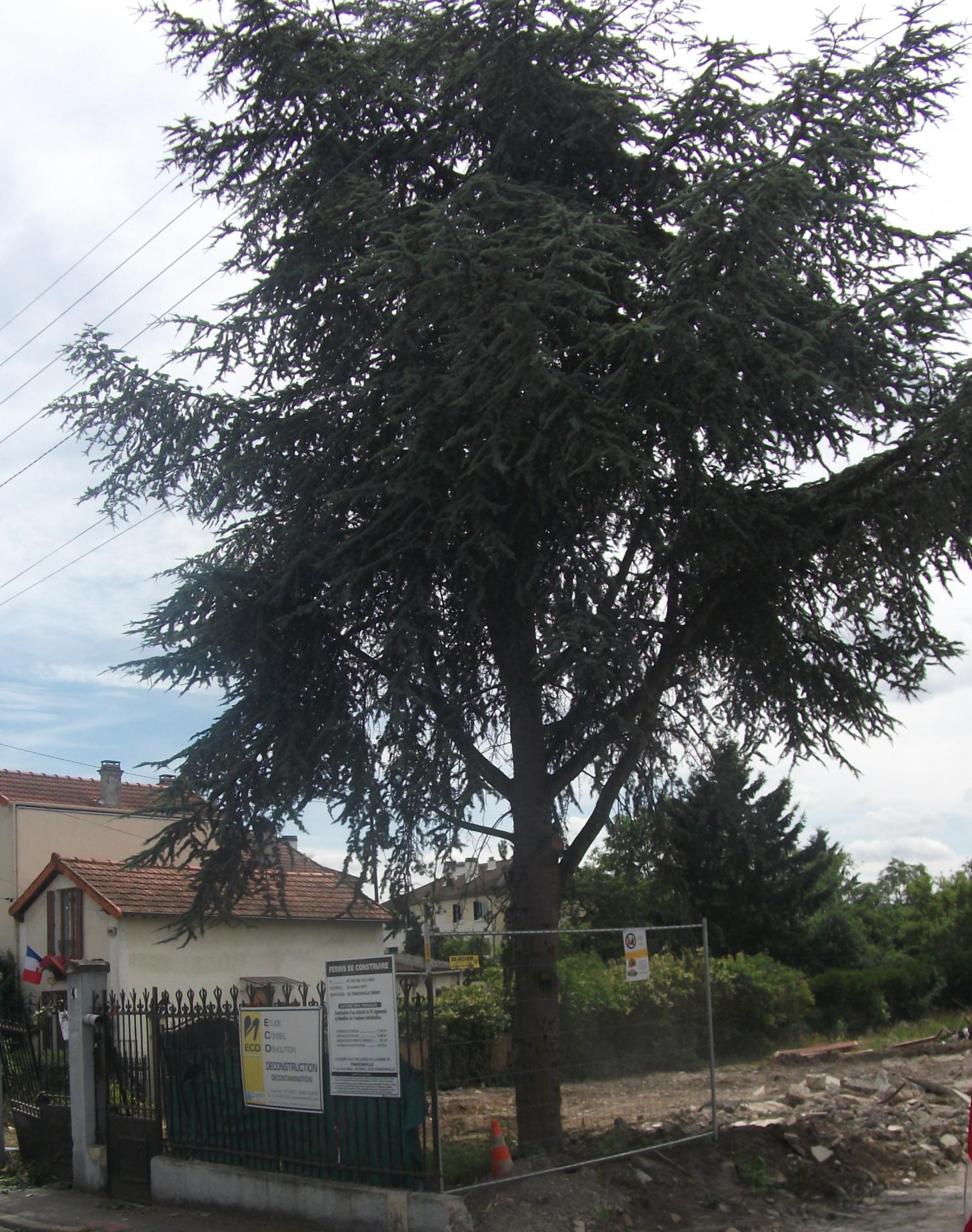 Dscf4585 4